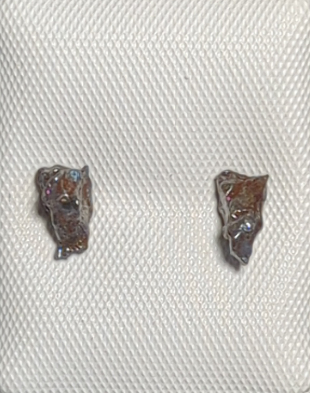 Stellar Campo del Cielo Meteorite Earrings