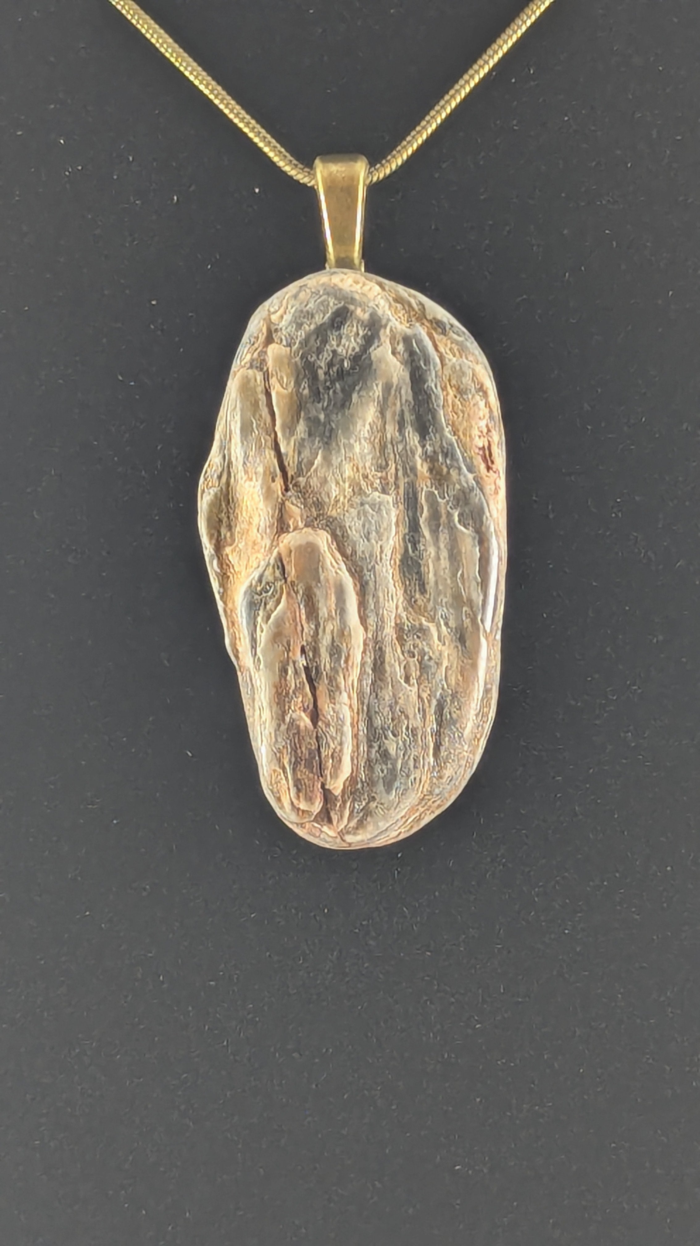 Ancient Coastline Petrified Wood Pendant