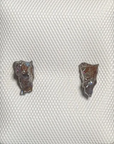Stellar Campo del Cielo Meteorite Earrings
