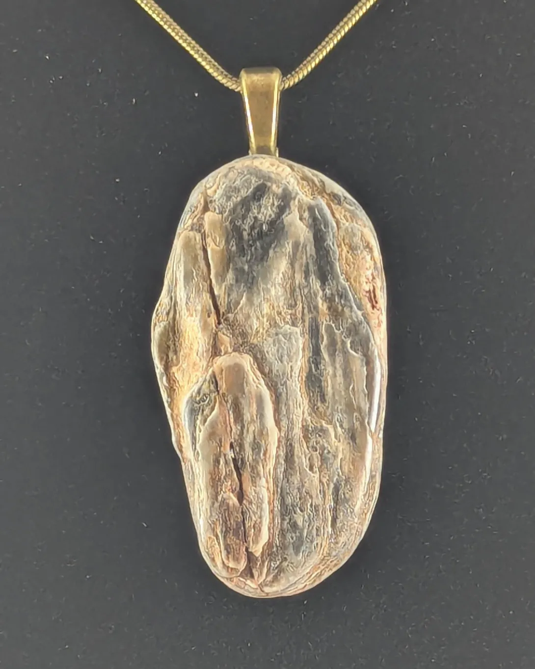 Long oval petrified wood pendant in grey, tan and rust-brown, with woody grain and cracks running lengthwise, on a brass-tone bail and gold-tone chain against a black background